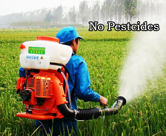 zero-artificial-no-pesticides-blog