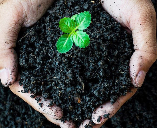 zero-artificial-soil-health-blog