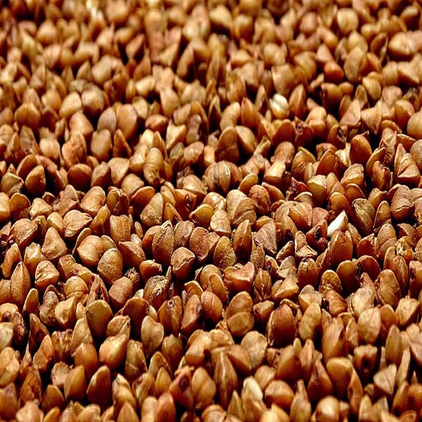 buckwheat-closeup-grain-cereals_copy.jpg