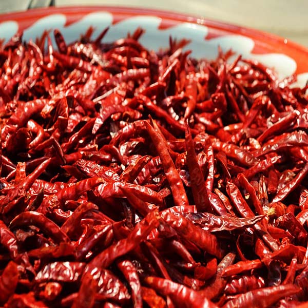 chili-chili-pepper-dried-pepper_copy.jpg