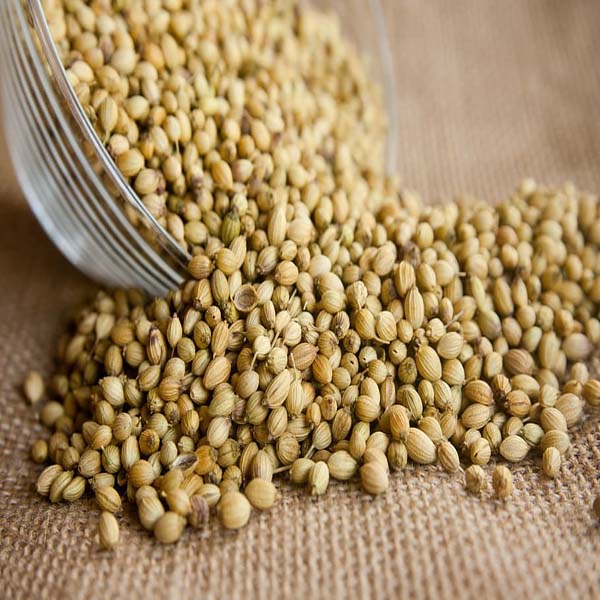 coriander-seeds-seasoning-ingredient_copy.jpg