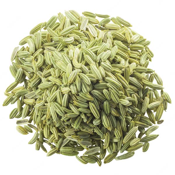 dried-fennel-seeds-pile-paths-top_770611-1439_copy.jpg