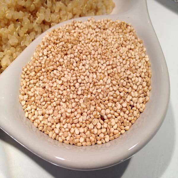 quinoa-grain-seed-food_copy.jpg
