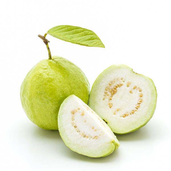 zero-artificial-guava1.jpg